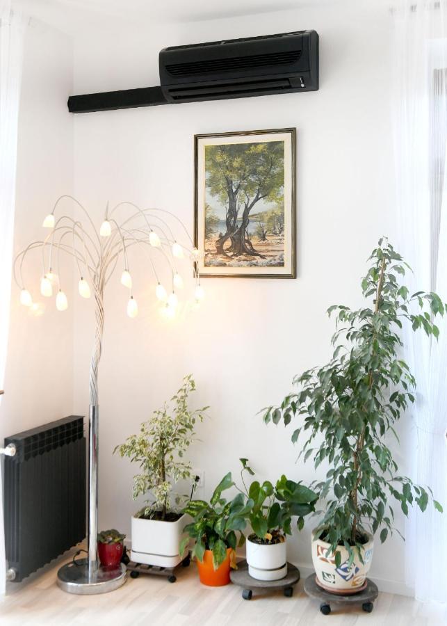 Divia Apartment Рієка Екстер'єр фото